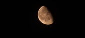 Enlarge photo 223