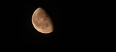 Enlarge photo 225