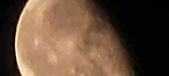 Enlarge photo 226