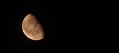 Enlarge photo 227