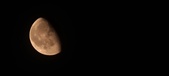 Enlarge photo 228