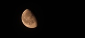 Enlarge photo 229