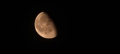 Enlarge photo 230