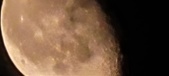Enlarge photo 231