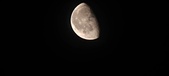 Enlarge photo 248