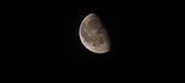 Enlarge photo 254