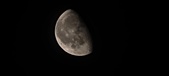 Enlarge photo 258
