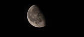 Enlarge photo 259