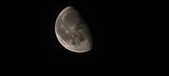 Enlarge photo 260