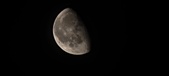Enlarge photo 262