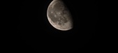 Enlarge photo 264