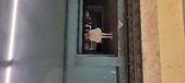 Enlarge photo 172