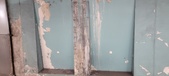 Enlarge photo 159