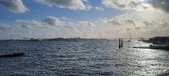 Enlarge photo 135
