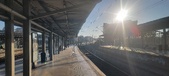 Enlarge photo 204