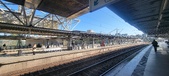 Enlarge photo 223
