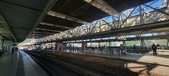 Enlarge photo 229
