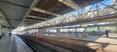 Enlarge photo 231