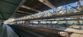 Enlarge photo 233