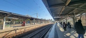 Enlarge photo 234