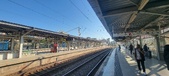 Enlarge photo 235