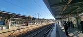 Enlarge photo 236