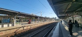 Enlarge photo 237