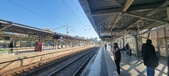 Enlarge photo 239