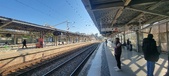 Enlarge photo 240