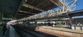 Enlarge photo 243