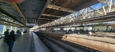 Enlarge photo 245