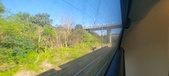 Enlarge photo 251