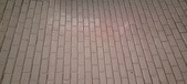 Enlarge photo 47