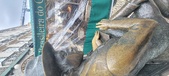 Enlarge photo 76