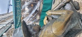 Enlarge photo 77