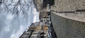 Enlarge photo 122