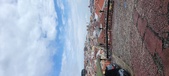 Enlarge photo 145
