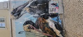Enlarge photo 161