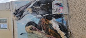 Enlarge photo 162
