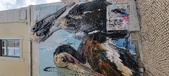 Enlarge photo 163