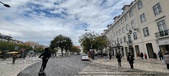 Enlarge photo 265