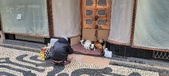 Enlarge photo 274