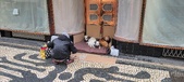 Enlarge photo 276