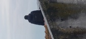 Enlarge photo 134