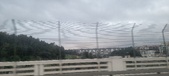 Enlarge photo 39