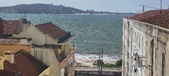 Enlarge photo 319
