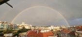 Enlarge photo 298