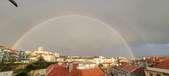 Enlarge photo 294