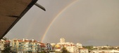 Enlarge photo 288