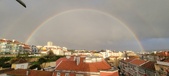 Enlarge photo 287